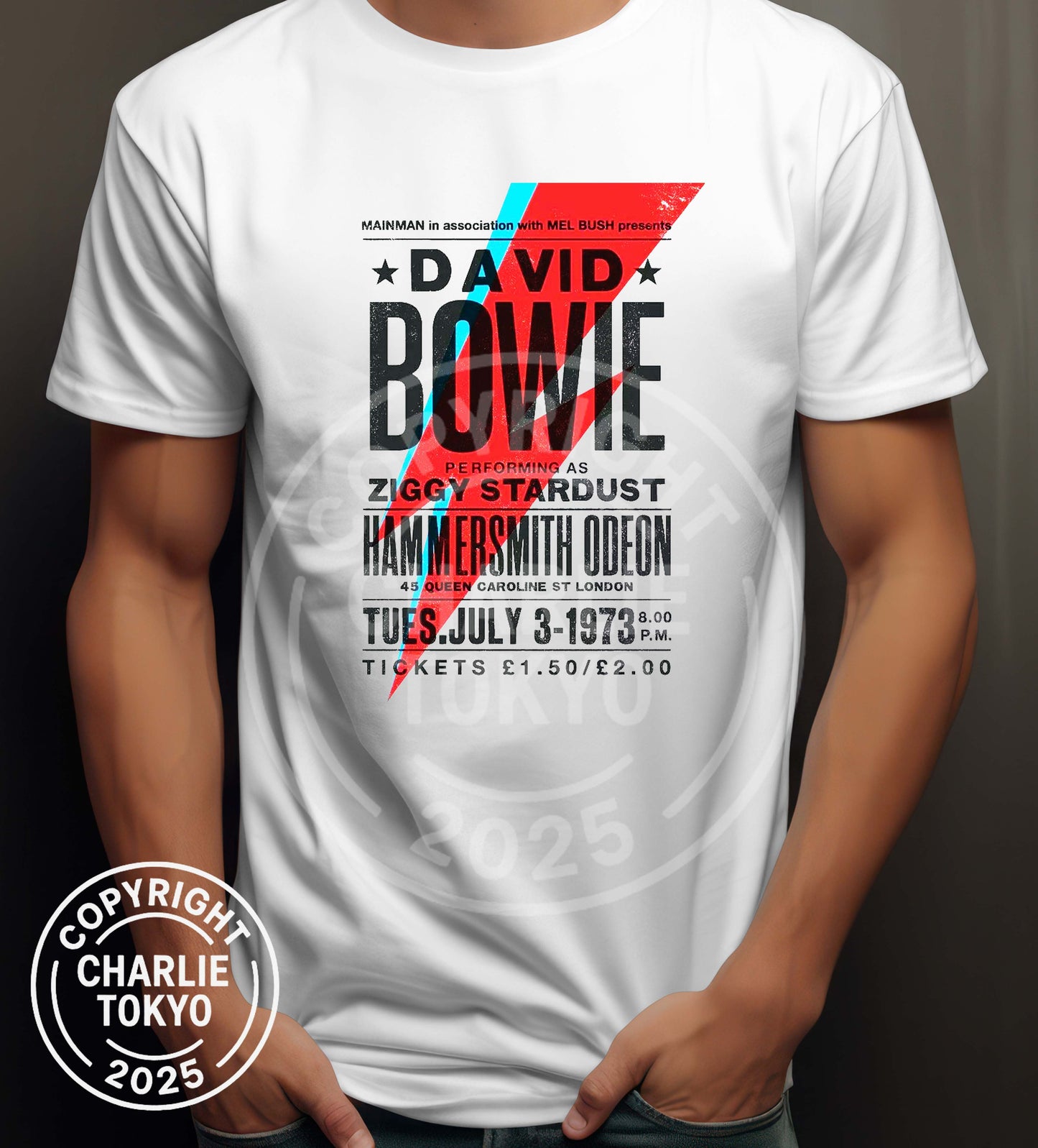 David Bowie Hammersmith Odeon Homage Ziggy Stardust Concert Women's T-Shirt